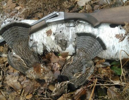 Ruffed grouse and side by side Fox 20ga