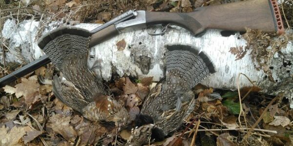 Ruffed grouse and side by side Fox 20ga